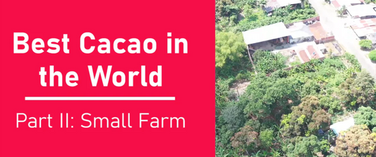 Into the HEART of Ecuador at our NGO’s small cacao farm. 🦋❤️
