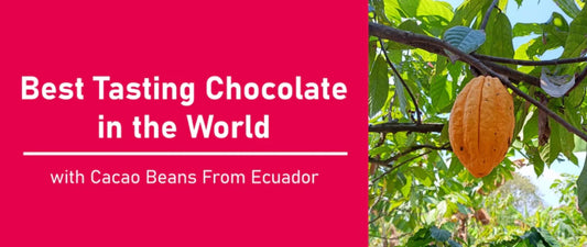 What a Day! We visited an Artisan CHOCOLATE factory in the RAINFOREST in Mindo, Ecuador